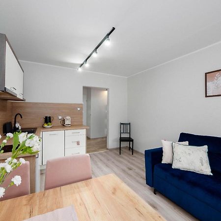 Best Choice 2-Bedroom Apartment Płock Dış mekan fotoğraf