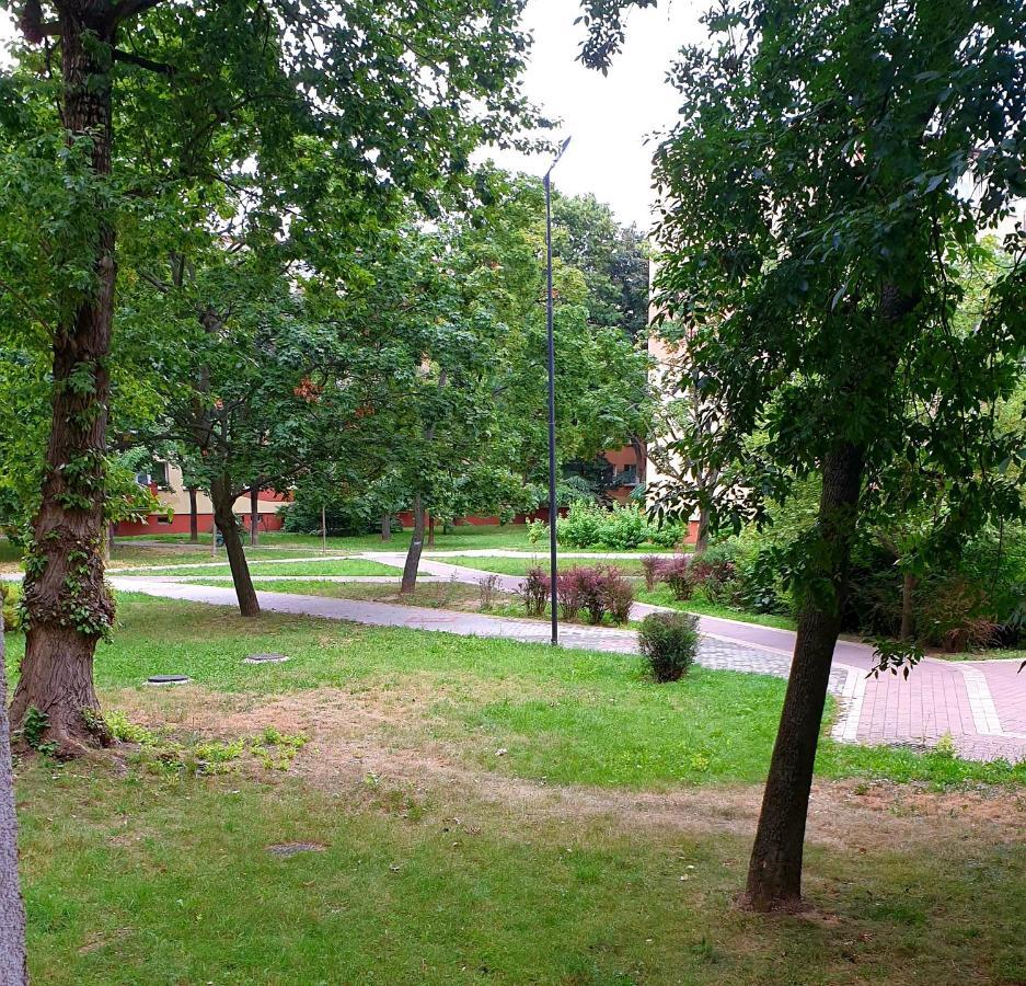 Best Choice 2-Bedroom Apartment Płock Dış mekan fotoğraf