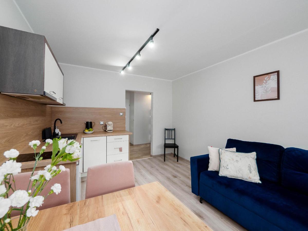 Best Choice 2-Bedroom Apartment Płock Dış mekan fotoğraf